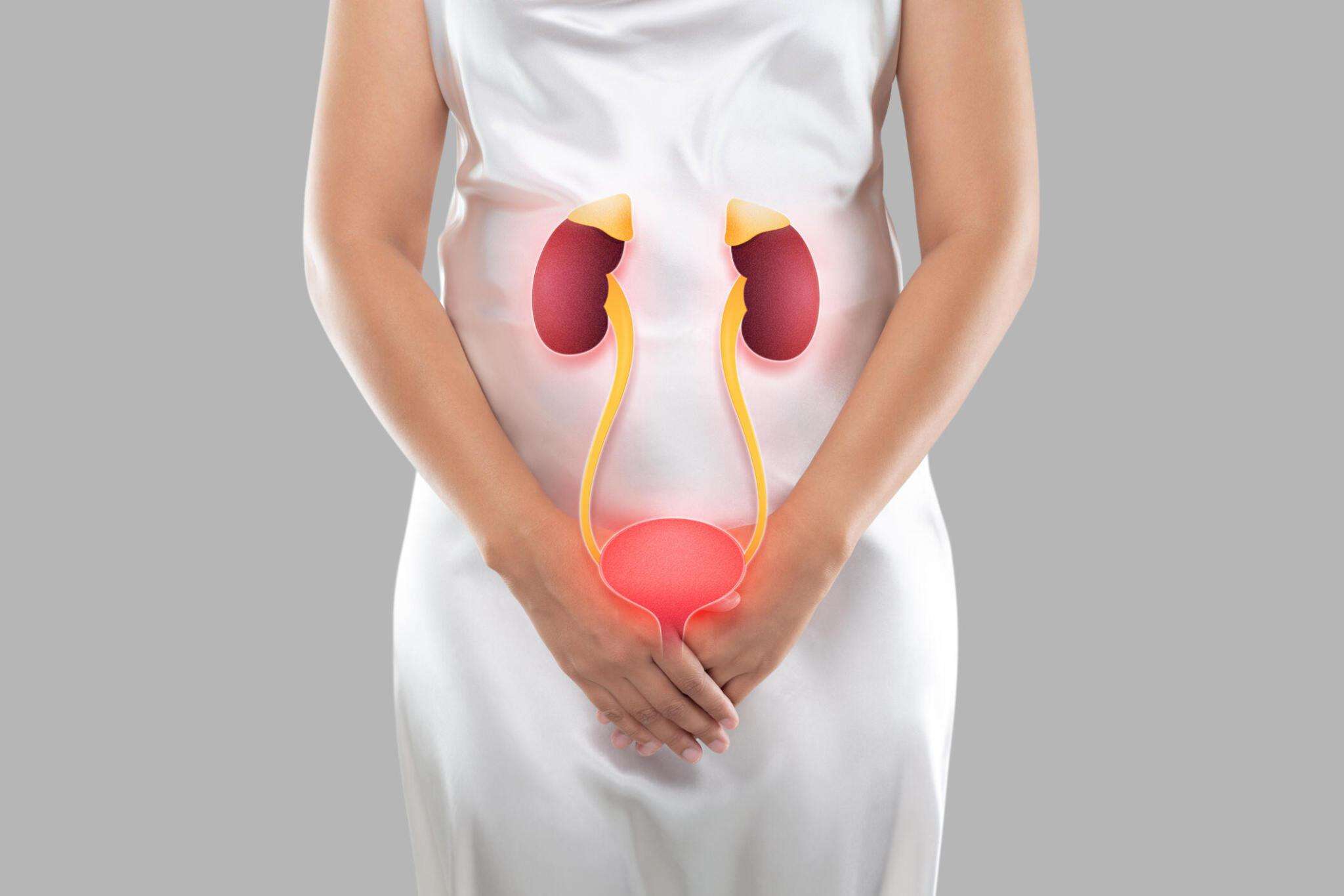 Infections, Dr. Vipin Sharma, best urologist in Indore