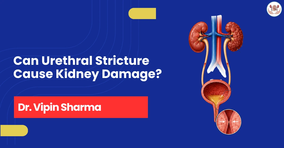 Can Urethral Stricture Cause Kidney Damage?